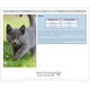 New Passage Cat Kennels
